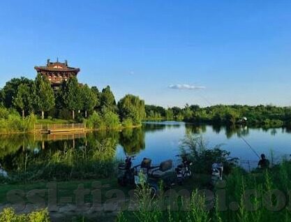 麻豆探花视频-麻豆探花视频事件的互联网镜像与启示——在模糊的界限中思考当代文化消费的转向